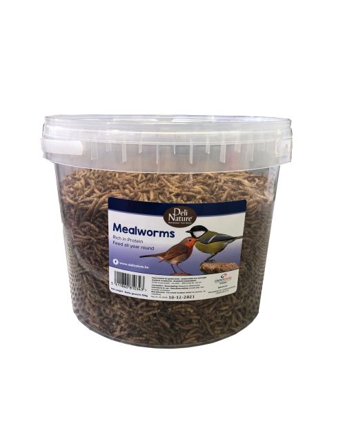 Meelwormen 700gr