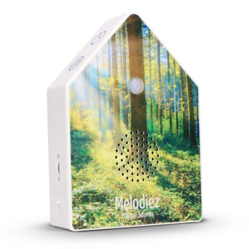 Melodiez de Luxe| Forest