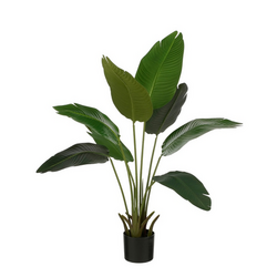 Mica Bananenboom d30h110cm groen