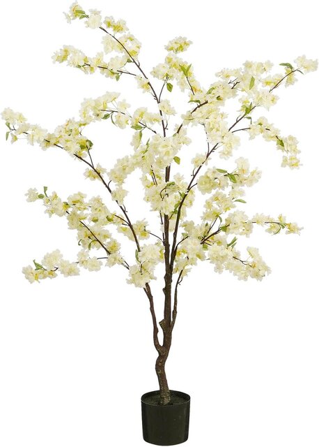 Mica Bougainvilleaboom d40h138cm creme