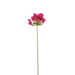 Mica decorations Agapanthus fuchsia - l75cm