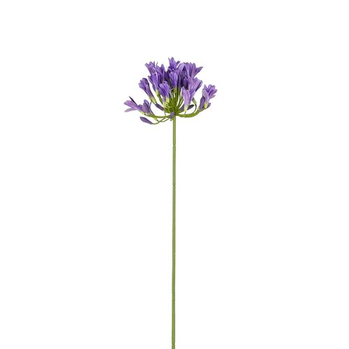 Mica decorations Agapanthus paars - l75cm