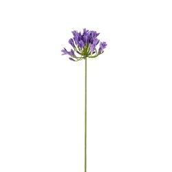 Mica decorations Agapanthus paars - l75cm