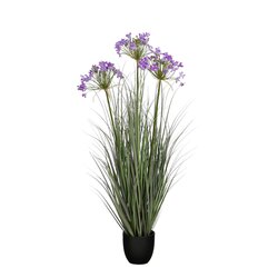 Mica decorations Allium ampeloprasum in pot paars - h110xd35cm