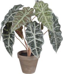 Mica Decorations Alocasia In Pot D36H44Cm Groen - afbeelding 1