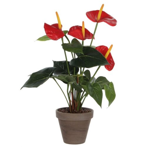 Mica Decorations Anthurium In Pot D30H40Cm Rood