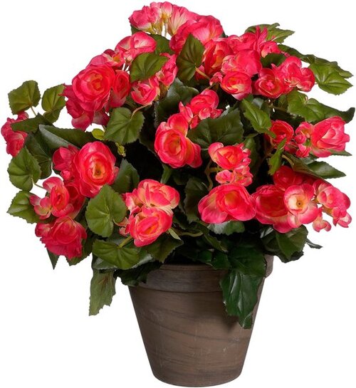 Mica Decorations Begonia D36H37Cm D.Roze