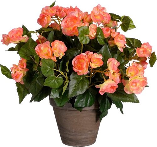 Mica Decorations Begonia D36H37Cm Zalm