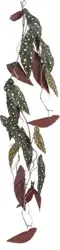 Mica Decorations Begonia L115B26H4Cm D.Groen