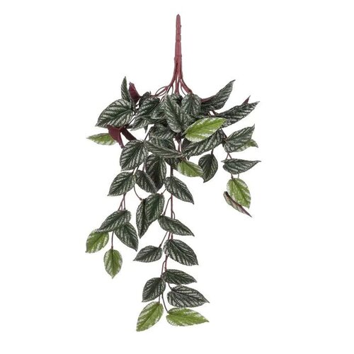 Mica Decorations Begonia Rex Hangend L58B20H14Cm Grn
