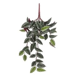 Mica Decorations Begonia Rex Hangend L58B20H14Cm Grn