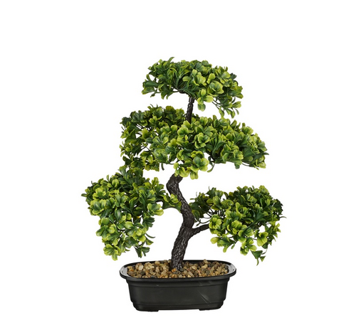 Mica Decorations Bonsai I/Pot L30B30H38Cm Groen