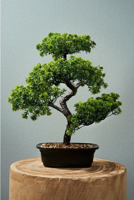 Mica Decorations Bonsai I/Pot L30B30H38Cm Groen