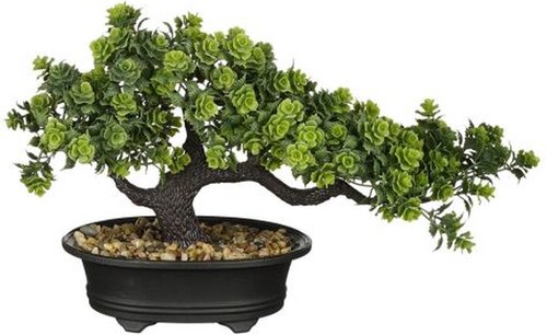 Mica Decorations Bonsai I/Pot L33B13H21Cm Groen