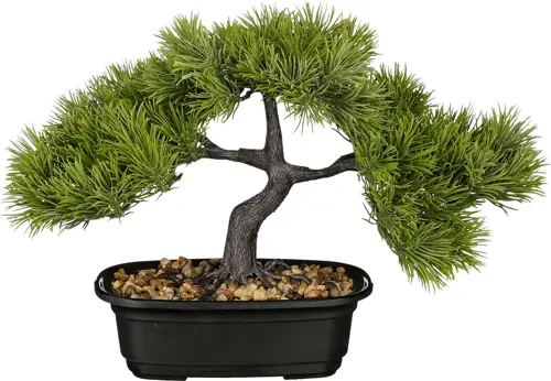 Mica Decorations Bonsai I/Pot L33B17H26Cm Groen