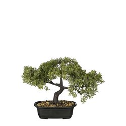 Mica Decorations Bonsai I/Pot L33B17H26Cm Groen