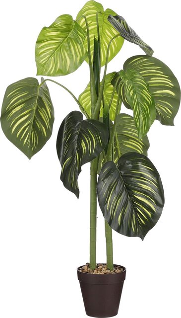 Mica Decorations Caladium In Pot H100D50Cm Groen