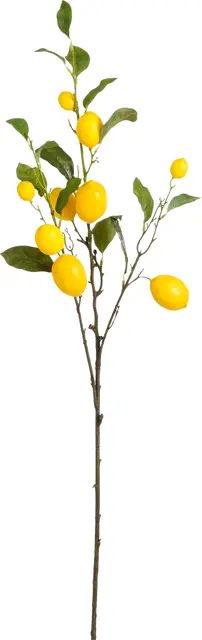 Mica Decorations Citroentak L104Cm Geel