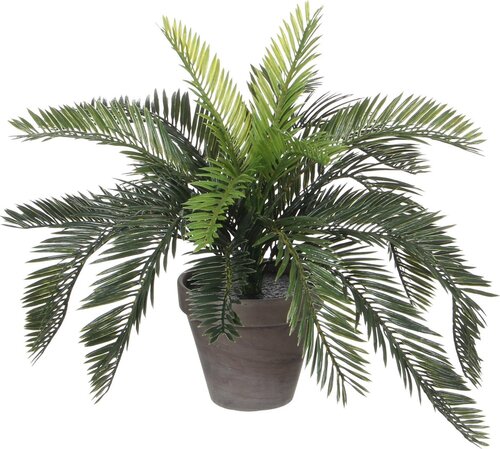 Mica Decorations Cycas Palm In Pot D44H37Cm Groen