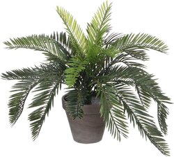 Mica Decorations Cycas Palm In Pot D44H37Cm Groen
