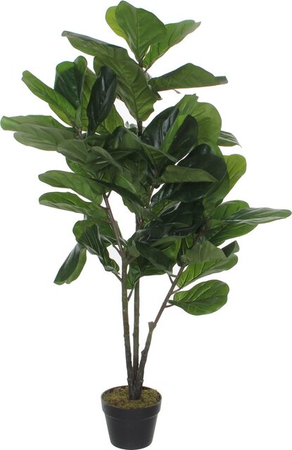 Mica Decorations Ficus Lyrata In Pot H120D60Cm Groen