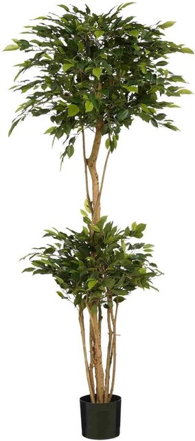 Mica Decorations Ficus Natasja I/Pot D50H150Cm Groen