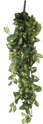 Mica Decorations Fittonia Hangpot L80B30H15Cm Groen