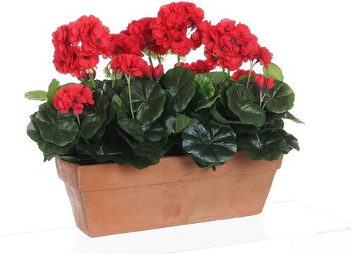 Mica Decorations Geranium Balkonbak L39B13H40 Rd