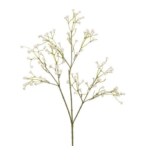 Mica decorations Gipskruid creme - l60cm
