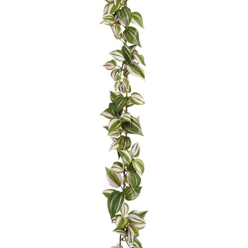 Mica Decorations Guirl. Tradescantia L180B12H5Cm Grn