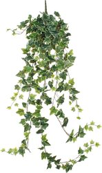 Mica Decorations Hedera Hang L129Cm Groen