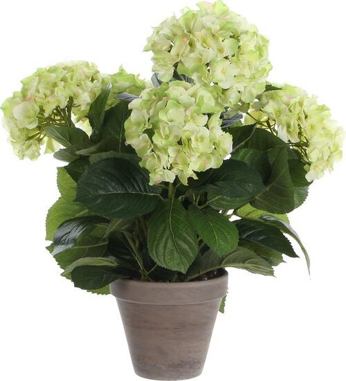 Mica Decorations Hortensia In Pot D45H45Cm Creme