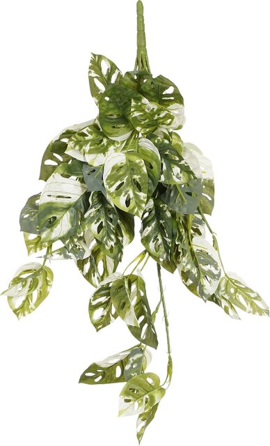 Mica Decorations Monstera Adansonii L69B25H25Cm Grn