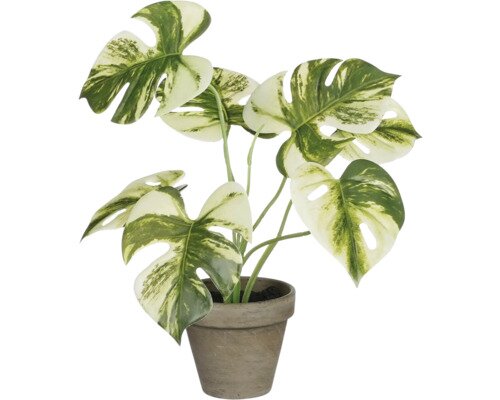 Mica Decorations Monstera I/Pot D25H30Cm Groen