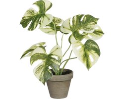 Mica Decorations Monstera I/Pot D25H30Cm Groen