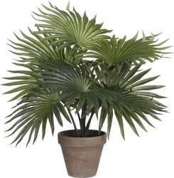 Mica Decorations Palm In Pot D35H40Cm Groen
