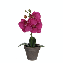 Mica Decorations Phalaenopsis In Pot D12H26Cm Paars