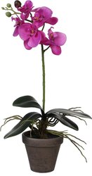 Mica Decorations Phalaenopsis In Pot D13H48Cm Paars