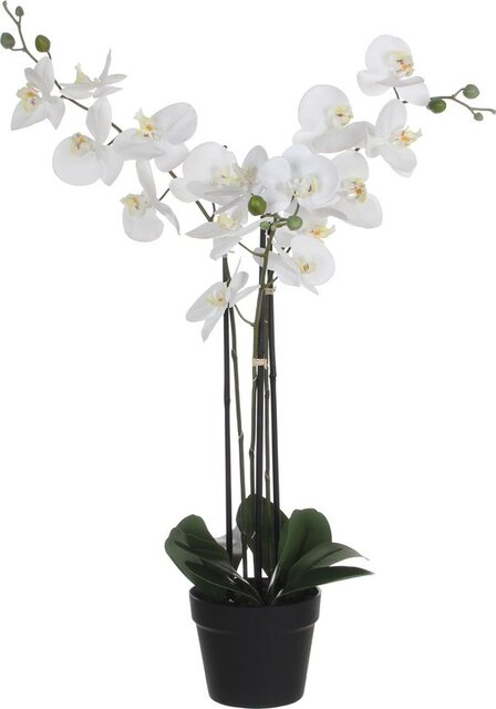 Mica Decorations Phalaenopsis In Pot L75B51H79Cm Wit