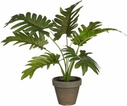 Mica Decorations Philodendron In Pot D27H30Cm Groen