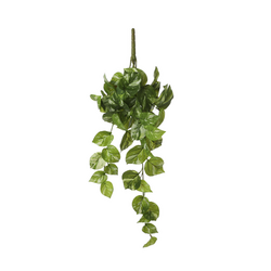Mica Decorations Pothos Hang L58B20H14Cm Groen