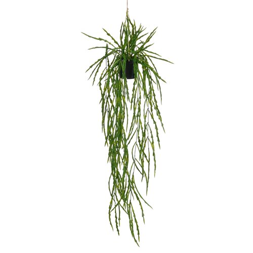 Mica decorations Rhipsalis in pot hangend groen - l105xd35cm