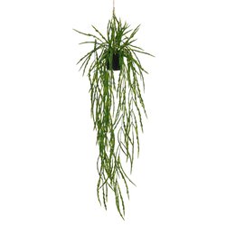 Mica decorations Rhipsalis in pot hangend groen - l105xd35cm
