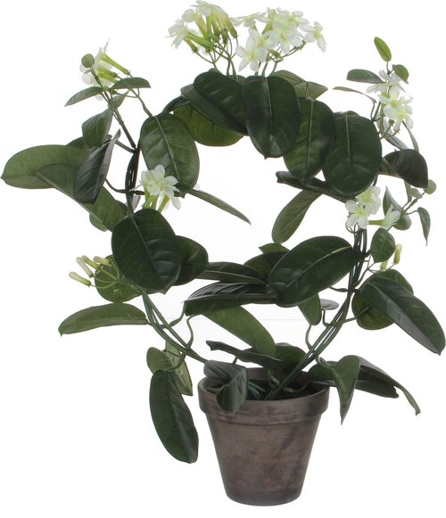 Mica Decorations Stephanotis In Pot D40H50Cm Wit