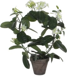 Mica Decorations Stephanotis In Pot D40H50Cm Wit