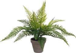 Mica Decorations Varen In Pot D36H40Cm Groen