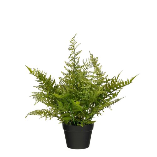 Mica decorations Varen in pot groen - h60xd65cm