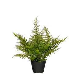 Mica decorations Varen in pot groen - h60xd65cm