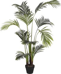 Mica Decorations Waaierpalm I/Pot D80H150Cm Groen