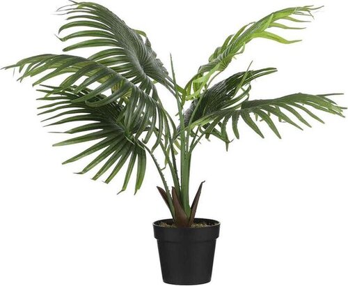 Mica Decorations Waaierpalm In Pot D80H80Cm Groen